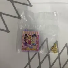 アイカツ！ ～大スター宮いちごまつり～ カードバインダーミニチュア