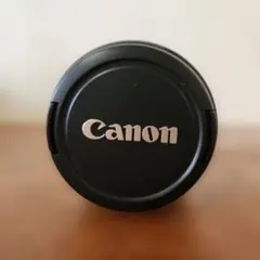 Item thumbnail for item 8f5db93f-660c-4f95-a56b-44aa440cb295