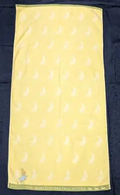 Item thumbnail for item 193ab400-b709-481d-9a4c-d954f55e0a5e