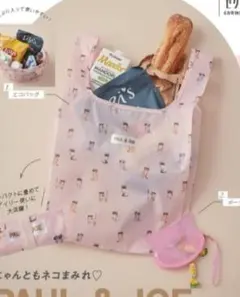 Item thumbnail for item 91367ba4-16a9-481d-8a1e-eaf4bd9b73c2