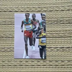 Item thumbnail for item 9862f413-ce4b-4a7c-8a56-6f62fa9caa52