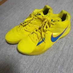 NIKE KD3 29cm US11のサムネイル