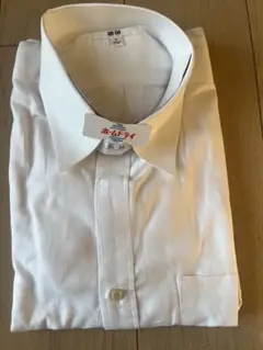 Item thumbnail for item 281e3440-68db-4676-b6b9-a21655b8cf8e