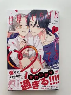 【美品】世界でいちばん兄してる
