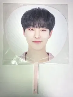 SEVENTEEN セブチ ホシ HARU うちわ