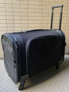 Item thumbnail for item 57b1e4e4-86ce-4274-b50b-bb39da5d170e