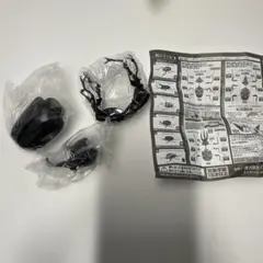 いきもの大図鑑　かぶとむし04 オキナワカブト