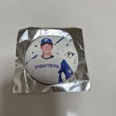 北海道日本ハムファイターズ　バッジ　松本剛選手