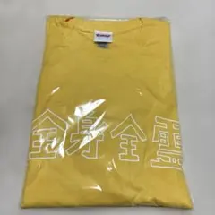 PIGGS 全身全霊　Tシャツ　XLサイズ