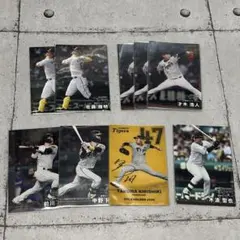 阪神タイガース スポーツカード