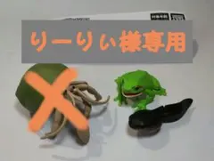 りーりぃ様専用□みずべのなかま アマガエル＋オタマジャクガチャ