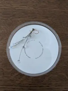 hario ピアス(両耳用)