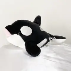 神戸水族館アトア atoa ポルカドットスティングレイ（淡水エイ