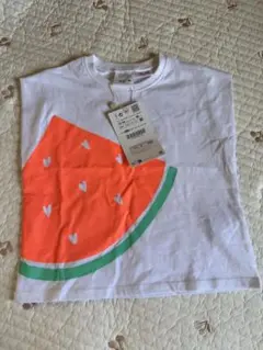 Item thumbnail for item 2f57d38c-00e7-47a6-8c0f-b55079f55788