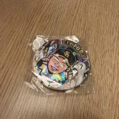 即購入⭕️ 福岡ソフトバンクホークス オスナ投手 若鷹ガチャの 缶