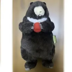 くまのサーモン おきにいり アップル ぬいぐるみ　りんご　マスコット