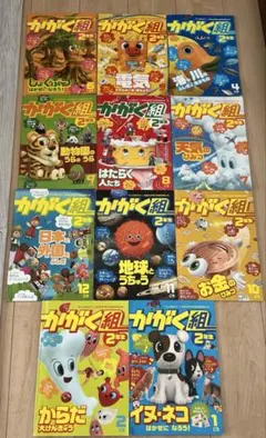 かがく組　２年生　学習雑誌 11号セット