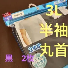 新品 3L 半袖　丸首　黒さらっとコットン　メンズ　ファイバードライ　2枚入