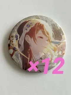 望月穂波　缶バッジvol.10b グリッター缶バッジ　グリ缶　12個　プロセカ