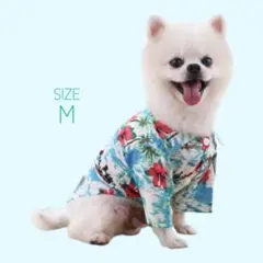 Item thumbnail for item 3703be78-544e-49bd-855c-7c2fdc779201