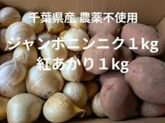 千葉県産 ジャンボニンニク1kg栽培期間中農薬不使用 - メルカリ
