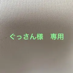 ぐっさん様　専用⭐︎