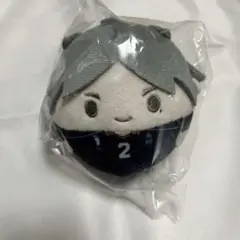 ハイキュー 菅原孝支 ふわコロりん