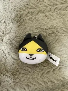 ハイキュー!! トレーディング動物マスコットミニビーズクッション　角名倫太郎