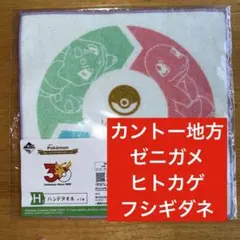 ポケモン 30周年 一番くじ カントー地方 H賞　ハンドタオル　ヒトカゲのサムネイル