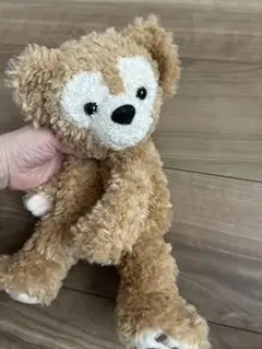 ディズニーシー　Duffy ダッフィー　ぬいぐるみ　手持ちバッグタイプ　美品