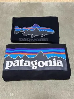 パタゴニア Patagonia Tシャツ 2枚セット 黒 ブラック