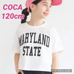 新品タグ付き　COCA Tシャツ　女の子　120cm キッズ　子供服