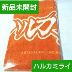 2026年最新】国内アーティスト：ハルカミライ ミュージシャン タオルの