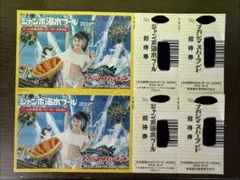 ナガシマスパーランド ジャンボ海水プール 2026 大人 入場券 2枚セット