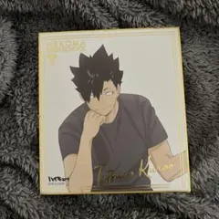 ハイキュー 黒尾鉄朗 色紙