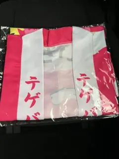 テゲバジャーロ宮崎 法被 ファミリークラブ限定