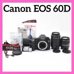 高速連写機能✨Canon EOS 60D✨ダブルレンズ✨バイアングルモニター