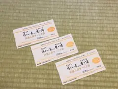 2026年最新】ナガシマスパーランド 割引の人気アイテム - メルカリ