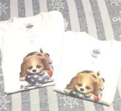 未使用品 キッズ半袖 Tシャツ MとXSサイズ 2枚セット