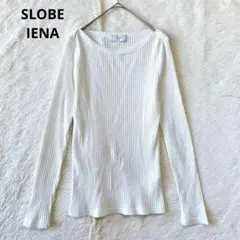 コットン Tシャツ