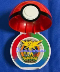 限定】ポケパークカントー ピンバッジ サンダース - メルカリ