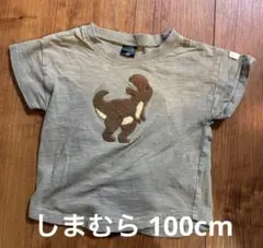 Item thumbnail for item d06c5948-e09d-4fe5-805d-c2da6bc4ab1e