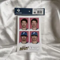 北海道日本ハムファイターズ 西川遥輝 証明写真風ステッカー