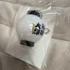 ☆オニュジンギ☆様 リクエスト 2点 まとめ商品