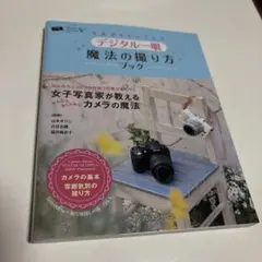 Item thumbnail for item 416cb52c-1d2c-41b8-a26a-c5b49dc009a8