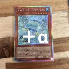 マルチャミー・プルリア　プリシクその他