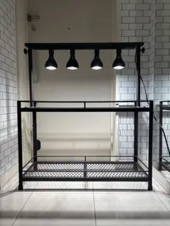 2025年最新】アイアンラック アガベの人気アイテム - メルカリ