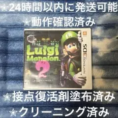 完動品 美品 ⋆✦ ルイージマンション 2 3DS カセット & ケース