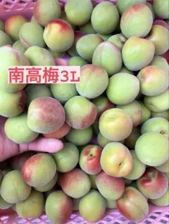南高梅 青梅3L3キロ　さや様専用