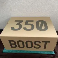 YEEZY BOOST 350 V2 Yechiel 27.5cm